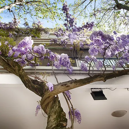 Lucia Hotel Bellaria-Igea Marina