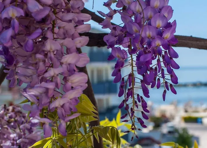 Lucia Bellaria-Igea Marina