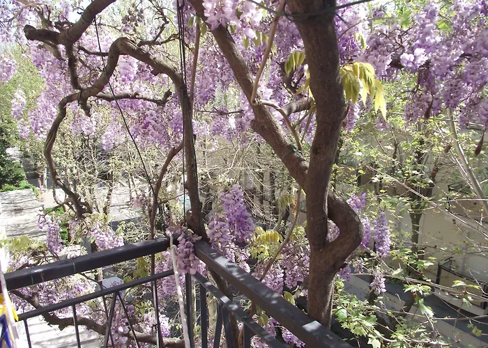 Lucia Hotel Bellaria-Igea Marina