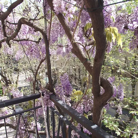 Lucia 酒店 贝拉里亚-伊贾马里纳