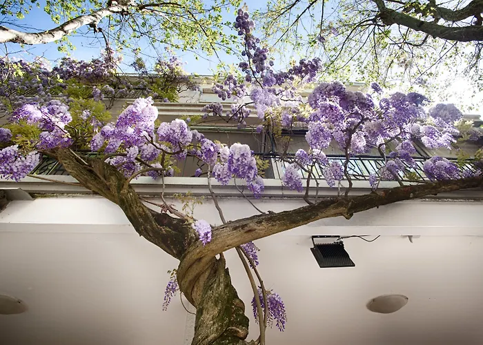 Lucia Hotel Bellaria-Igea Marina